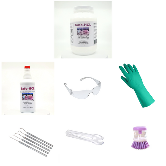 Safe-HCL Seashell Cleaning Kit - Includes: (1) quart of Safe-HCL acid, (1) gallon HDPE storage container, safety gear and cleaning utensils