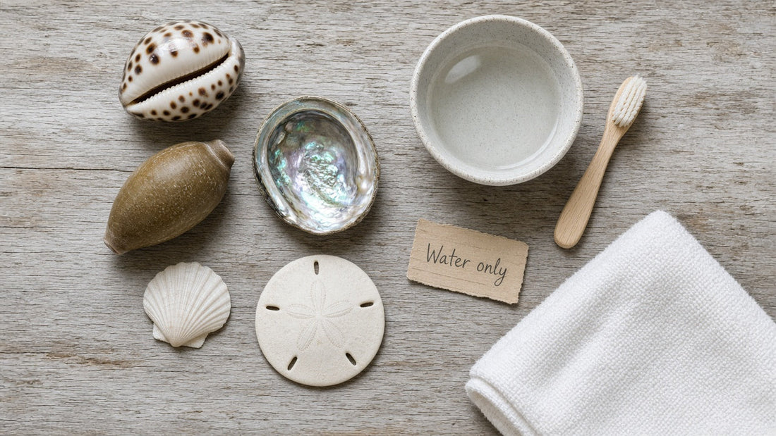 Delicate cowrie, abalone, olive and sand dollar shells with a bowl of water.