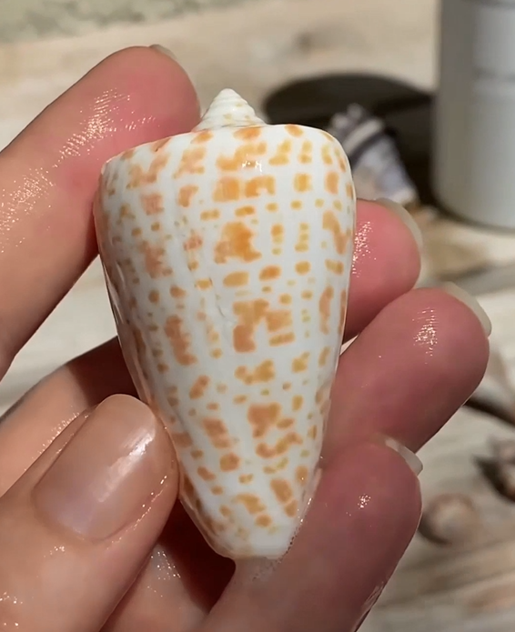 SafeHCL Biologically and Environmentally Safe Hydrochloric Acid