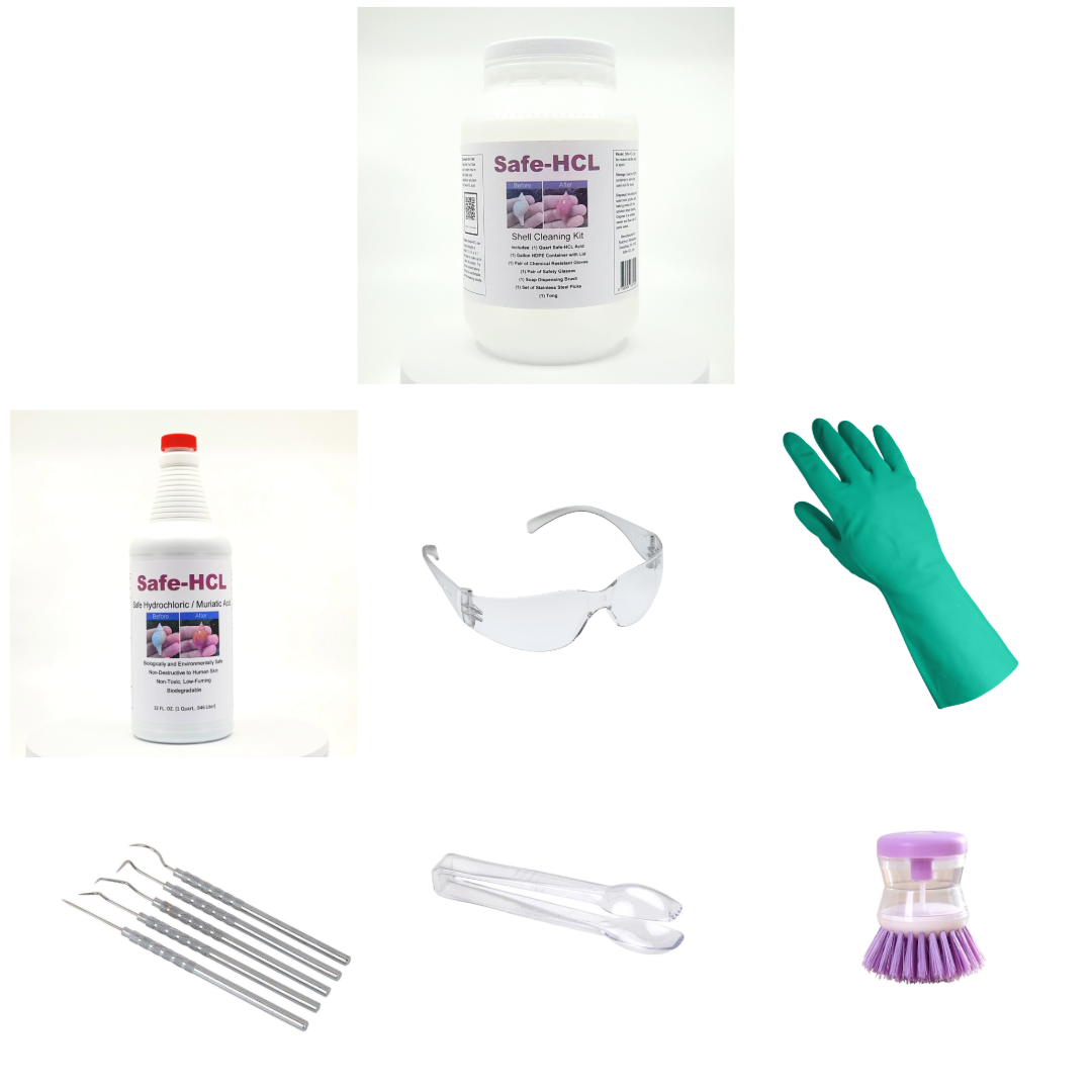 Wholesale Case - 12 Safe-HCL Seashell Cleaning Kits - Includes: (1) Gallon HDPE Cleaning/Storage Container, (1) quart of Safe-HCL acid, safety and cleaning gear